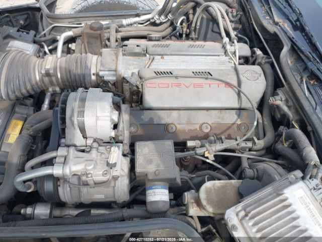 1994 CHEVROLET CORVETTE 1G1YY22P4R5117879 Photo 9