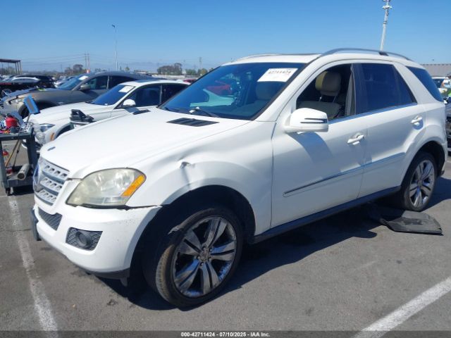 2011 MERCEDES-BENZ ML 350 4JGBB5GB1BA682936 Photo 1