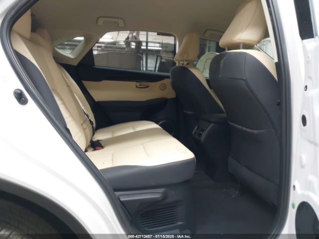 2020 LEXUS NX 300 JTJAARBZ6L2159449 Photo 7
