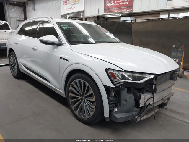 2019 AUDI E-TRON WA1VAAGE9KB011042 Photo 0