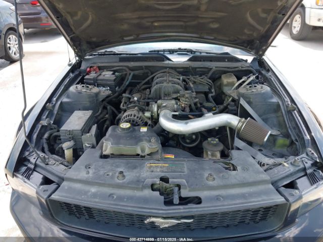 2006 FORD MUSTANG 1ZVHT84N665115970 Photo 9