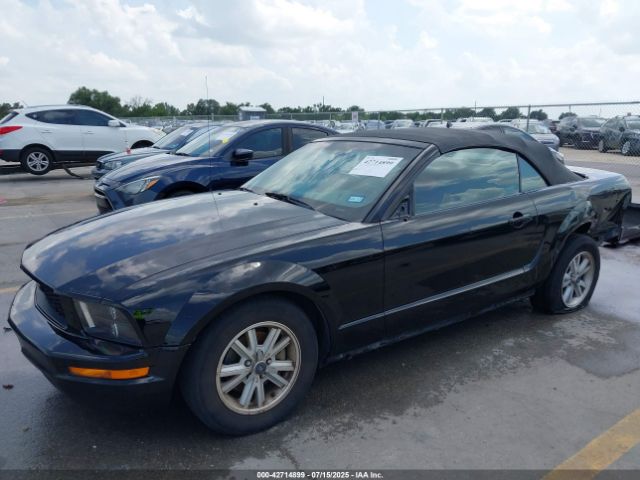 2006 FORD MUSTANG 1ZVHT84N665115970 Photo 1