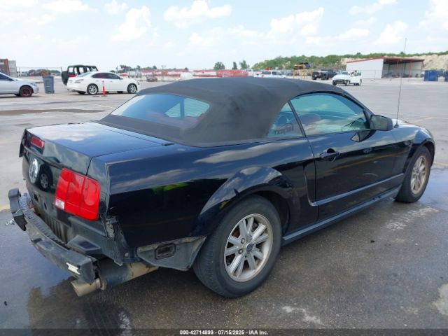 2006 FORD MUSTANG 1ZVHT84N665115970 Photo 3