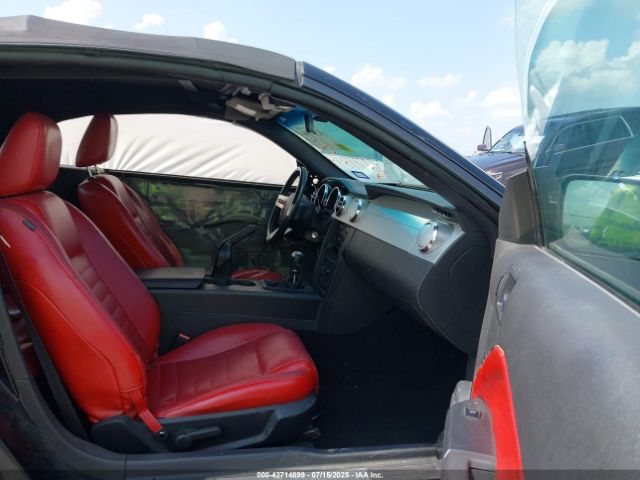 2006 FORD MUSTANG 1ZVHT84N665115970 Photo 4