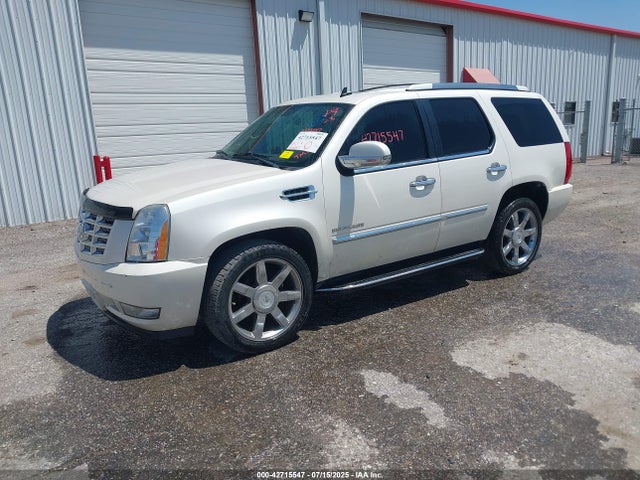 2011 CADILLAC ESCALADE 1GYS4BEF5BR260540 Photo 1
