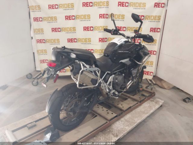 2023 TRIUMPH MOTORCYCLE TIGER SMTP23V46PTBB0825 Photo 3