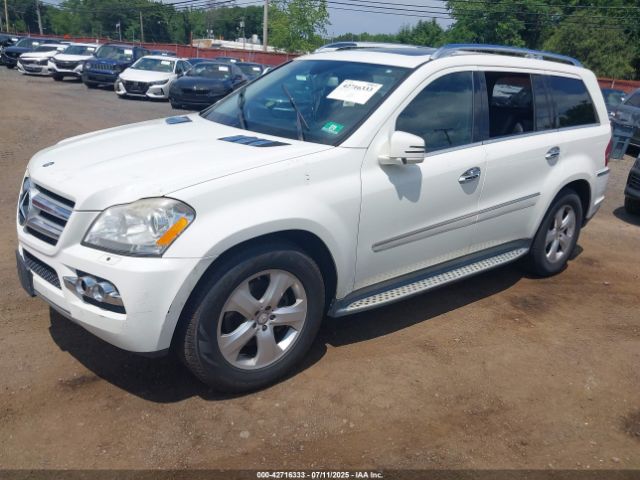 2011 MERCEDES-BENZ GL 450 4JGBF7BE1BA730663 Photo 1
