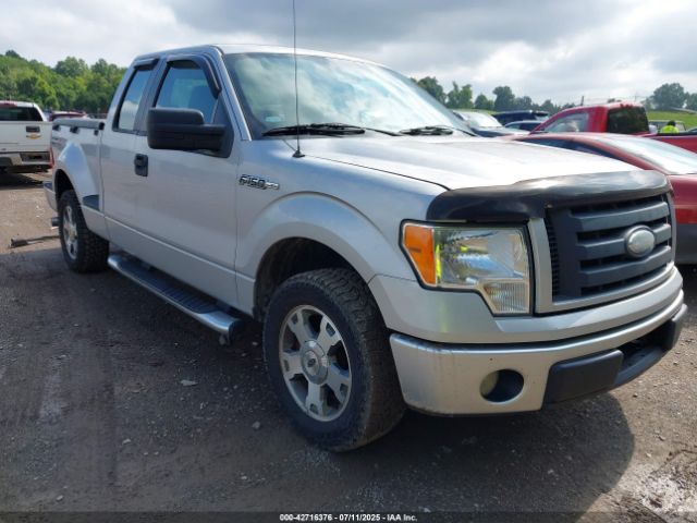 2009 FORD F-150 1FTRX02W29KC23128