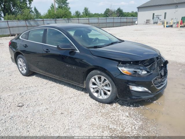 2019 CHEVROLET MALIBU 1G1ZD5ST7KF116059