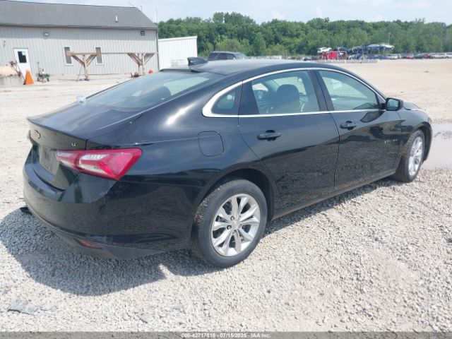 2019 CHEVROLET MALIBU 1G1ZD5ST7KF116059 Photo 3