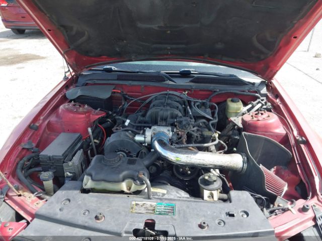 2005 FORD MUSTANG 1ZVFT80N755162548 Photo 9