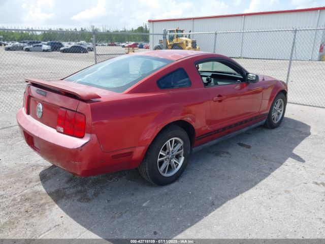 2005 FORD MUSTANG 1ZVFT80N755162548 Photo 3