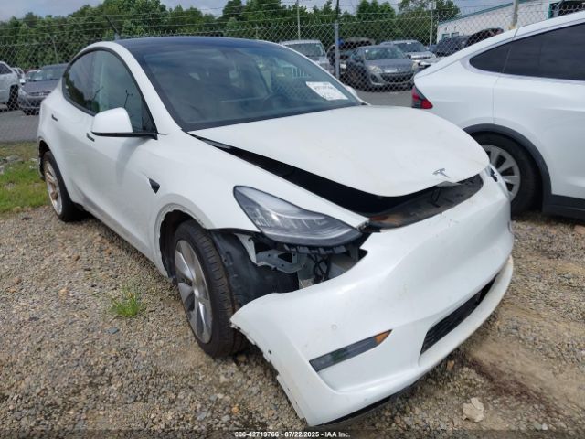 2020 TESLA MODEL Y 5YJYGDEE5LF048058 Photo 0
