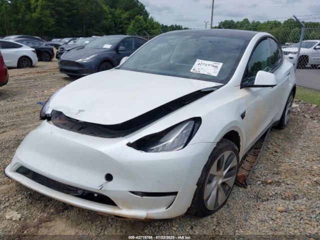 2020 TESLA MODEL Y 5YJYGDEE5LF048058 Photo 1