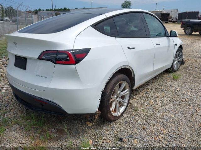 2020 TESLA MODEL Y 5YJYGDEE5LF048058 Photo 3