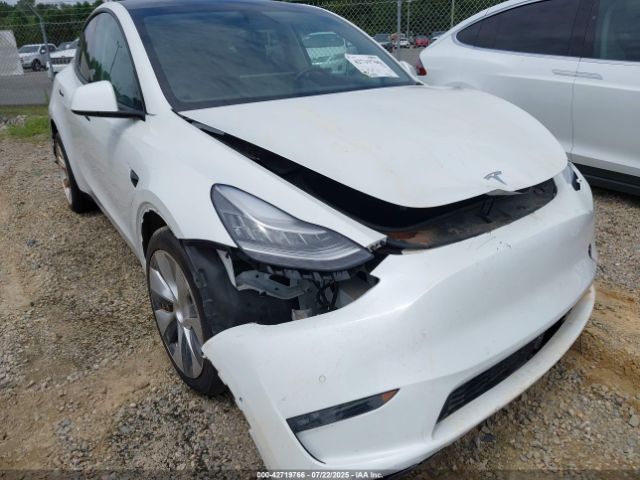 2020 TESLA MODEL Y 5YJYGDEE5LF048058 Photo 5