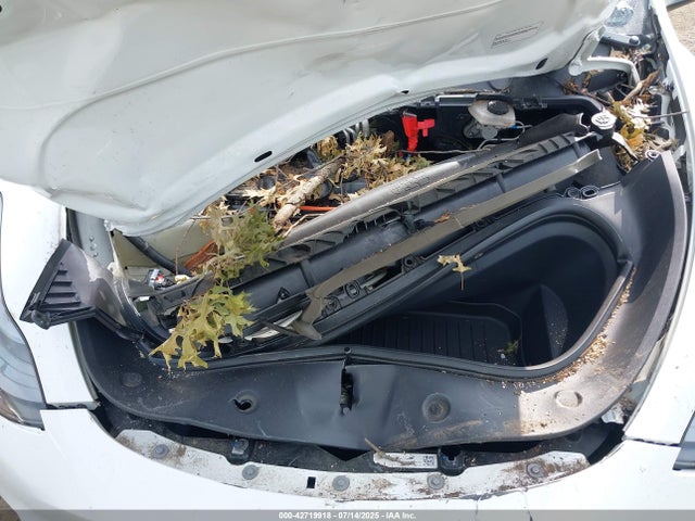 2023 TESLA MODEL Y 7SAYGDEE2PA103510 Photo 9