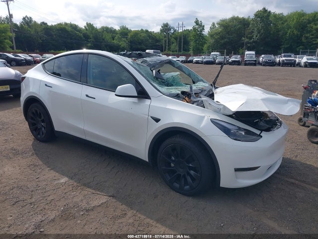 2023 TESLA MODEL Y 7SAYGDEE2PA103510 Photo 5