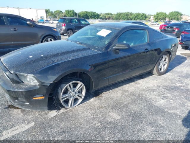 2013 FORD MUSTANG 1ZVBP8AM9D5206864 Photo 1