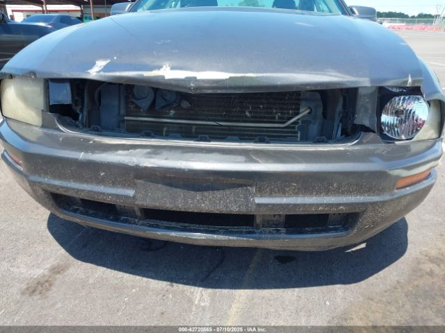 2008 FORD MUSTANG 1ZVHT80N585164800 Photo 5