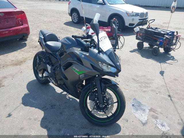 Kawasaki 2024 2024 ML5EXER10RDAC4694 main image