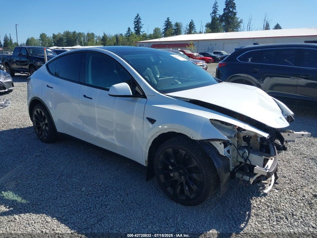 2024 TESLA MODEL Y 7SAYGDEEXRF164237 Photo 0