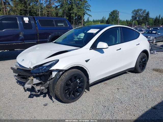2024 TESLA MODEL Y 7SAYGDEEXRF164237 Photo 1