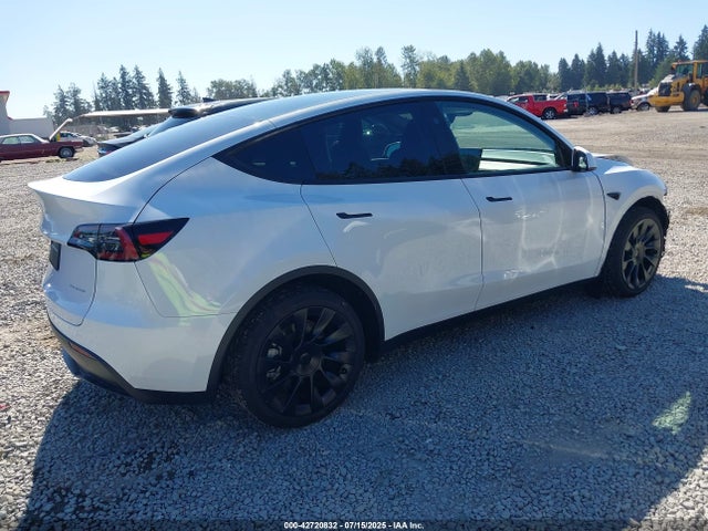 2024 TESLA MODEL Y 7SAYGDEEXRF164237 Photo 3