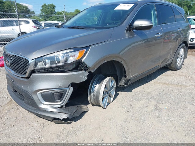 5XYPGDA56HG229509 KIA 2017