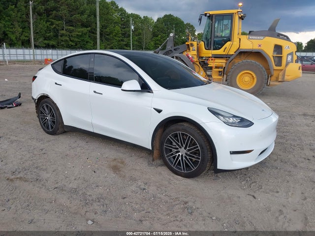2021 TESLA MODEL Y 5YJYGDEE1MF283591 Photo 0