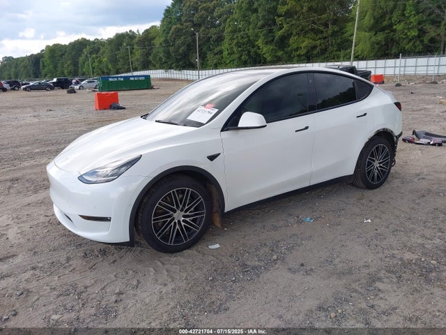2021 TESLA MODEL Y 5YJYGDEE1MF283591 Photo 1