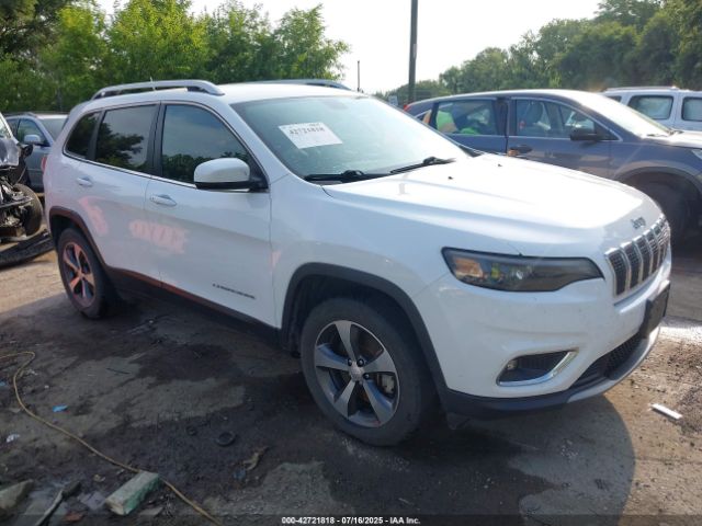 2019 JEEP CHEROKEE 1C4PJMDX3KD423242