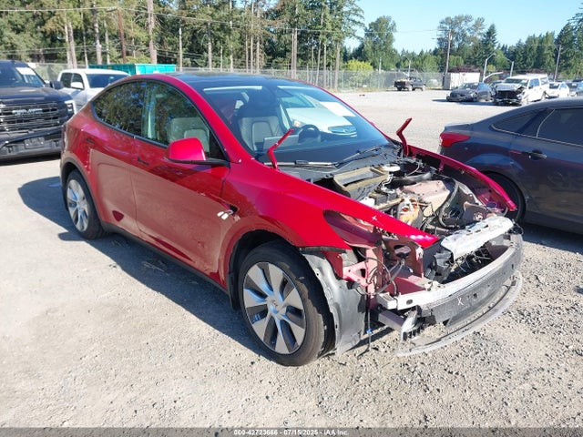 2021 TESLA MODEL Y 5YJYGDEE1MF161748 Photo 0