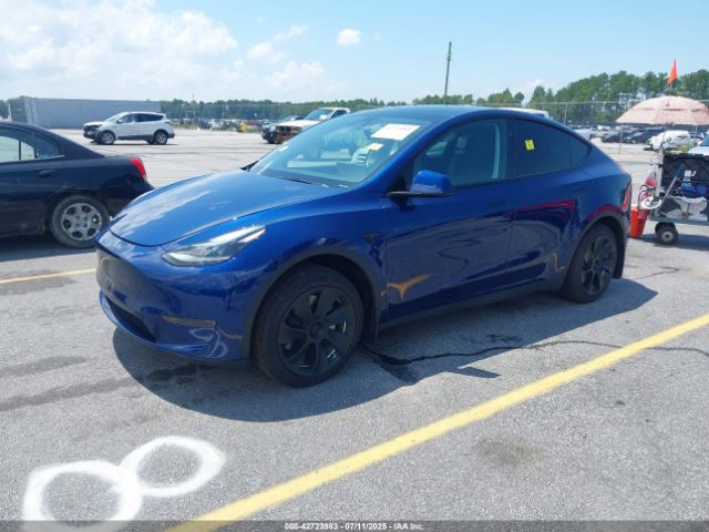 2024 TESLA MODEL Y 7SAYGDED5RF015208 Photo 1