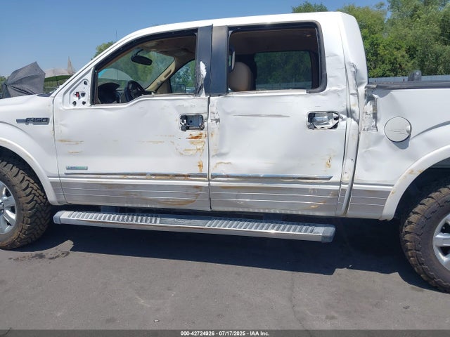 1FTFW1ET5EKD91627 Ford F-150