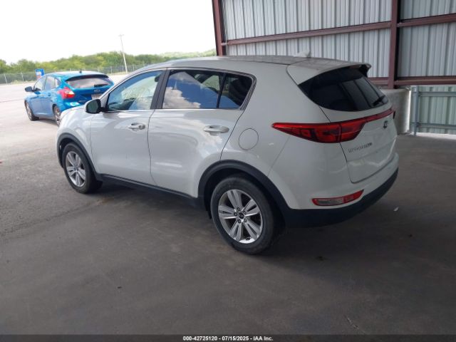 2017 KIA SPORTAGE KNDPM3ACXH7166610 Photo 2