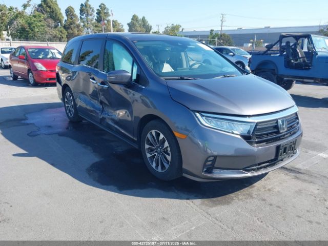 2024 HONDA ODYSSEY 5FNRL6H66RB001727