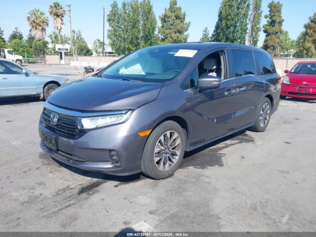 2024 HONDA ODYSSEY 5FNRL6H66RB001727 Photo 1
