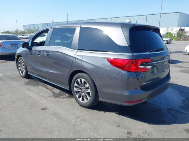 2024 HONDA ODYSSEY 5FNRL6H66RB001727 Photo 2