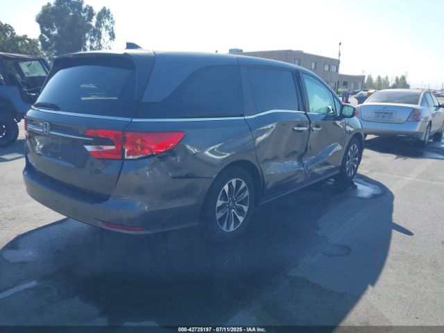 2024 HONDA ODYSSEY 5FNRL6H66RB001727 Photo 3