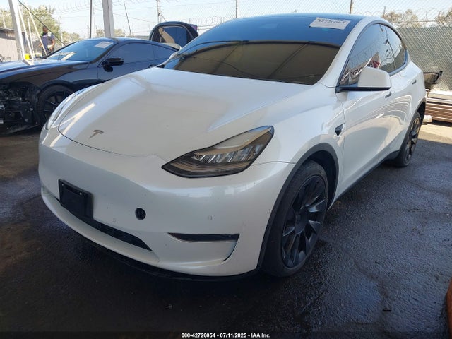 2020 TESLA MODEL Y 5YJYGDEE0LF029773 Photo 1