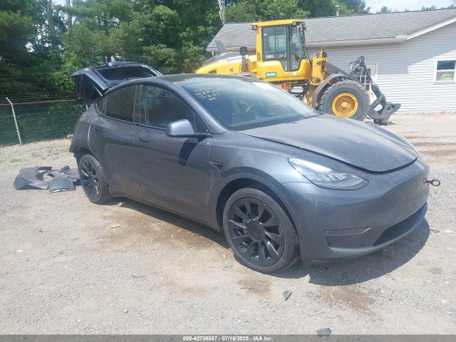 2020 TESLA MODEL Y 5YJYGDEEXLF051361 Photo 0