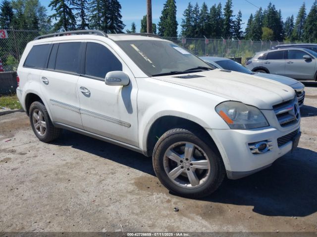 2007 MERCEDES-BENZ GL 450 4JGBF71E07A219311