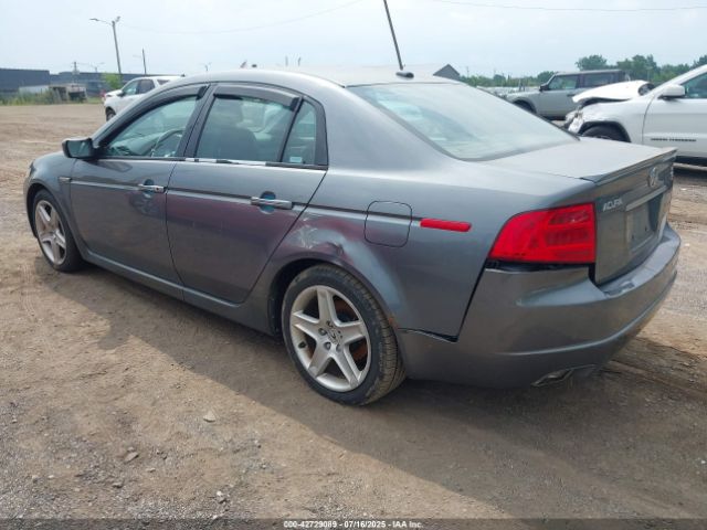 2004 ACURA TL 19UUA66224A056145 Photo 2