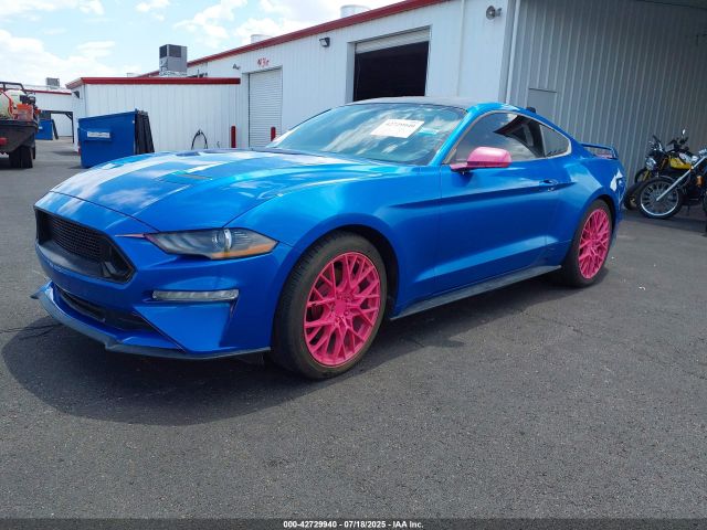 2019 FORD MUSTANG 1FA6P8TH0K5102299 Photo 1