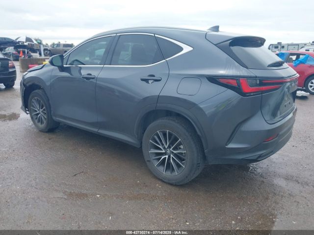 2023 LEXUS NX 350 2T2GGCEZ9PC017765 Photo 2