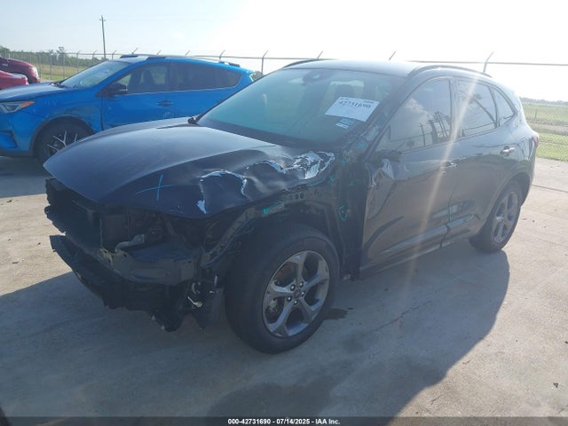 Ford dragon gtdi 2024 1FMCU0MN5RUB56205 Image 2