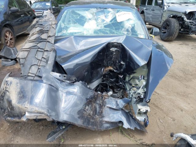 2025 TESLA MODEL 3 5YJ3E1EA5SF877240 Photo 5