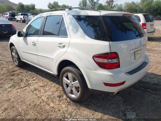 2009 MERCEDES-BENZ ML 350 4JGBB86E09A446074 Photo 2
