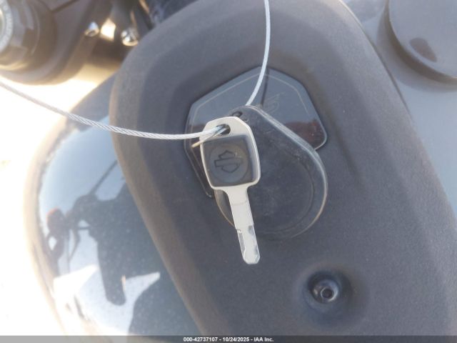 2022 HARLEY-DAVIDSON FXLRS 1HD1YWZ16NB058569 Photo 10